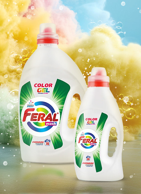 Brand Polly Banner 3 